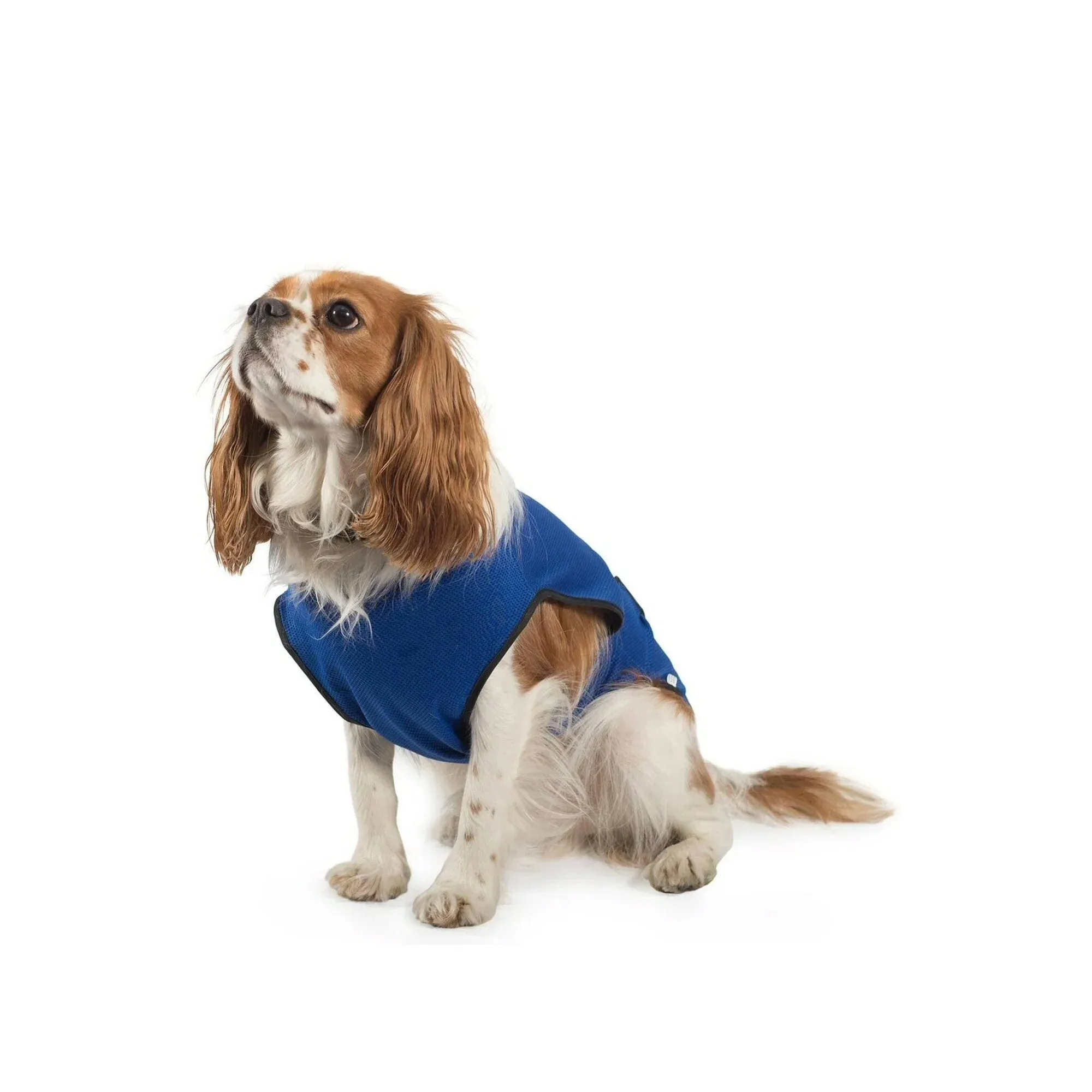 Ancol 40cm Cooling Dog Vest- Medium