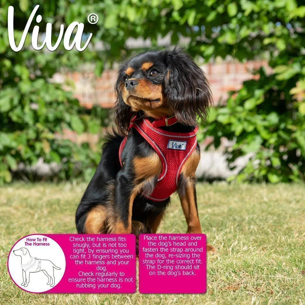 Ancol Viva Large Black Comfort Mesh Dog Harness