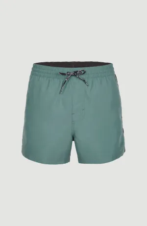 Coast 14'' Swim Shorts | North Atlantic