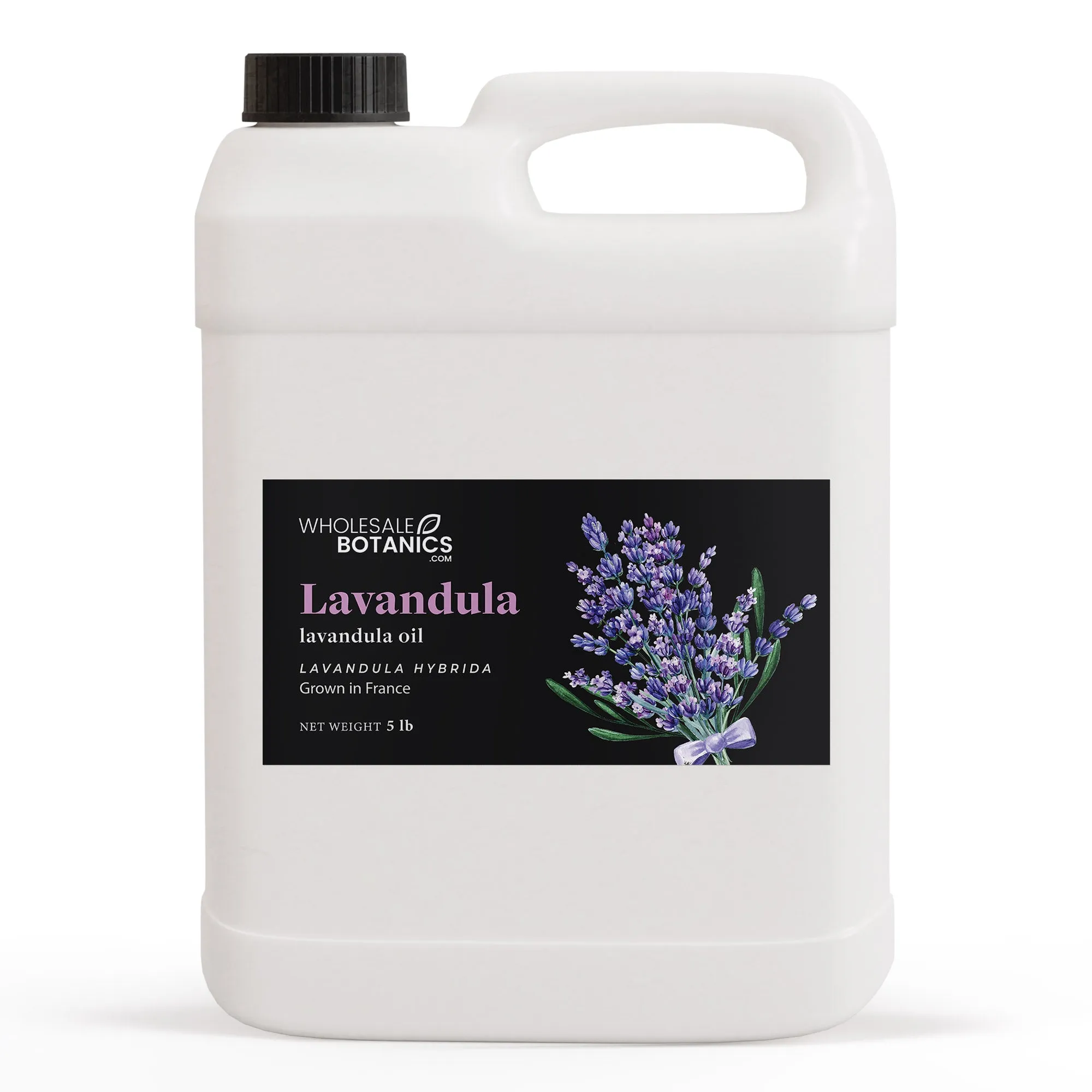 Lavandula Essential Oil