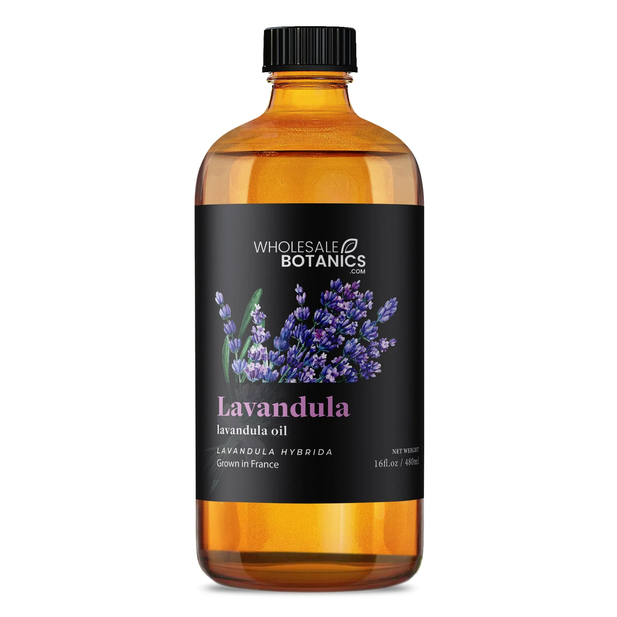 Lavandula Essential Oil