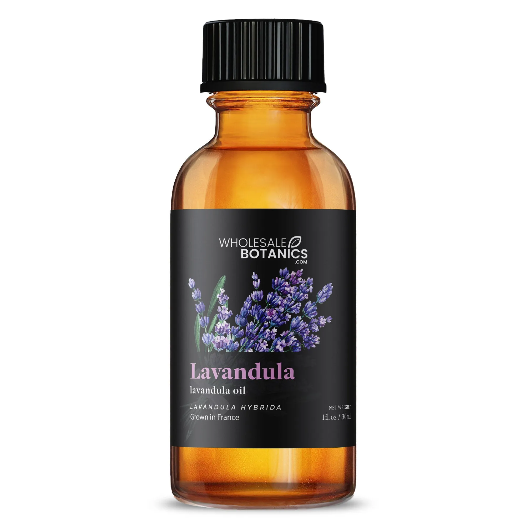 Lavandula Essential Oil