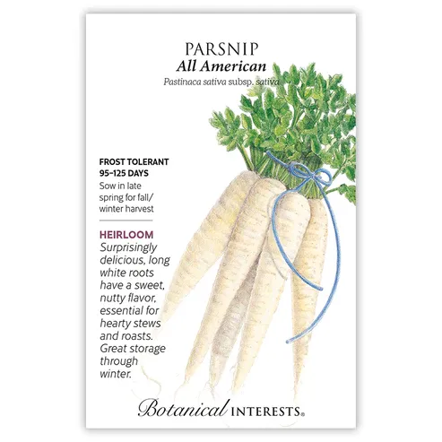 Parsnip All American Seed Pkt