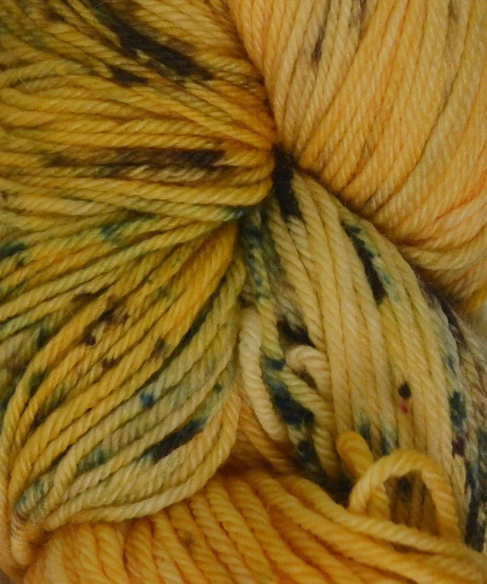 Sasquatch Multi by Coeur d'Alene Yarns