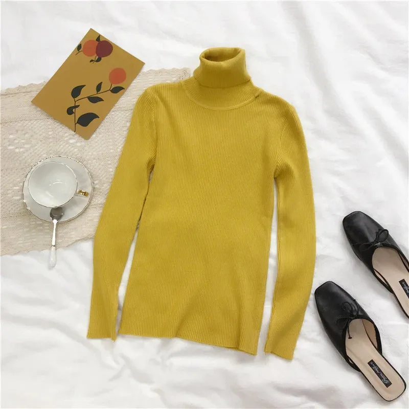 Soft and Warm Turtle Neck Long Sleeve Slim Sweaters