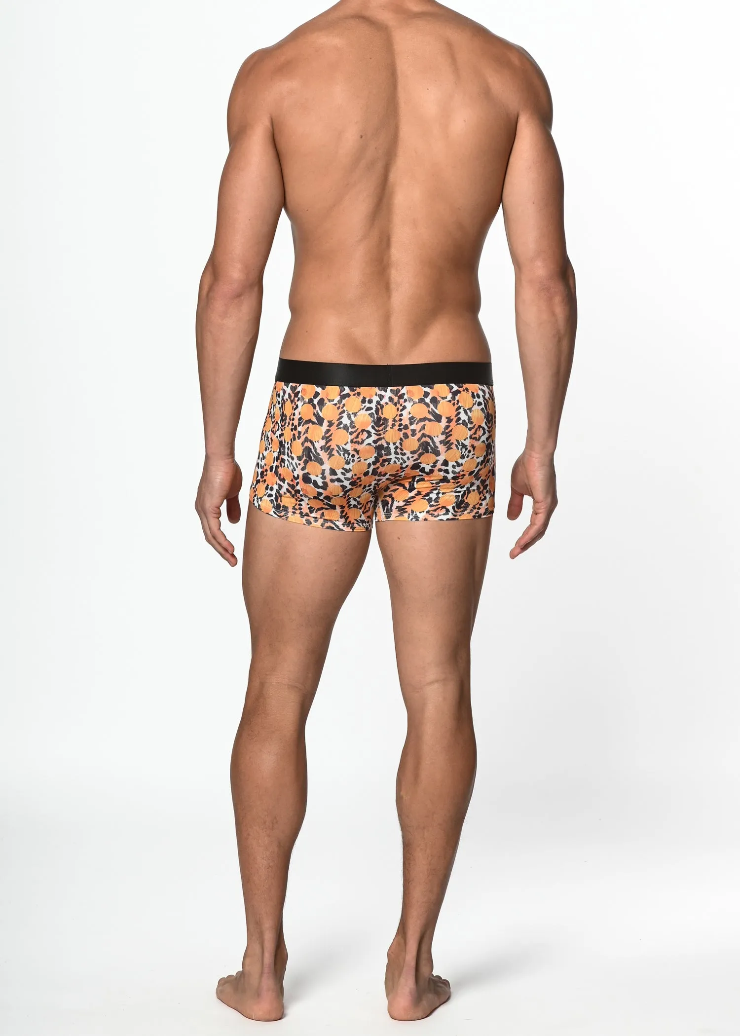 ST33LE Trunk- Jungle Dots