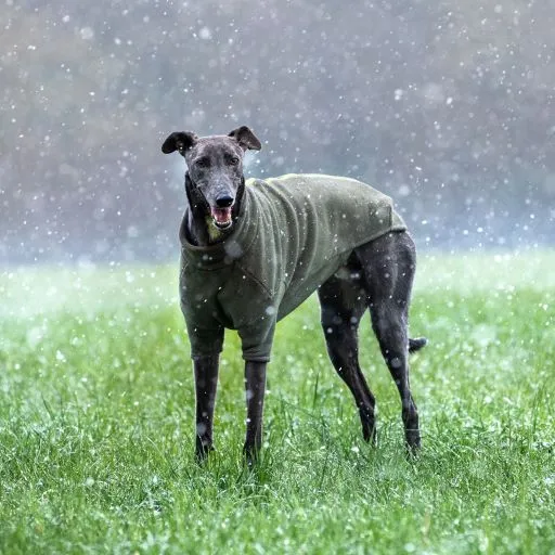 Stix Waterproof Fleece Coats for Greyhounds